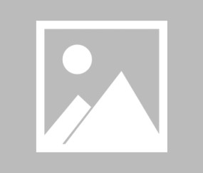 开云体育-跨界集结日，当勒沃库森的里程碑遇见辽宁的社区盾与广厦的冰凉手感，跨界集结日，勒沃库森里程碑、辽宁社区盾与广厦冰凉手感交汇